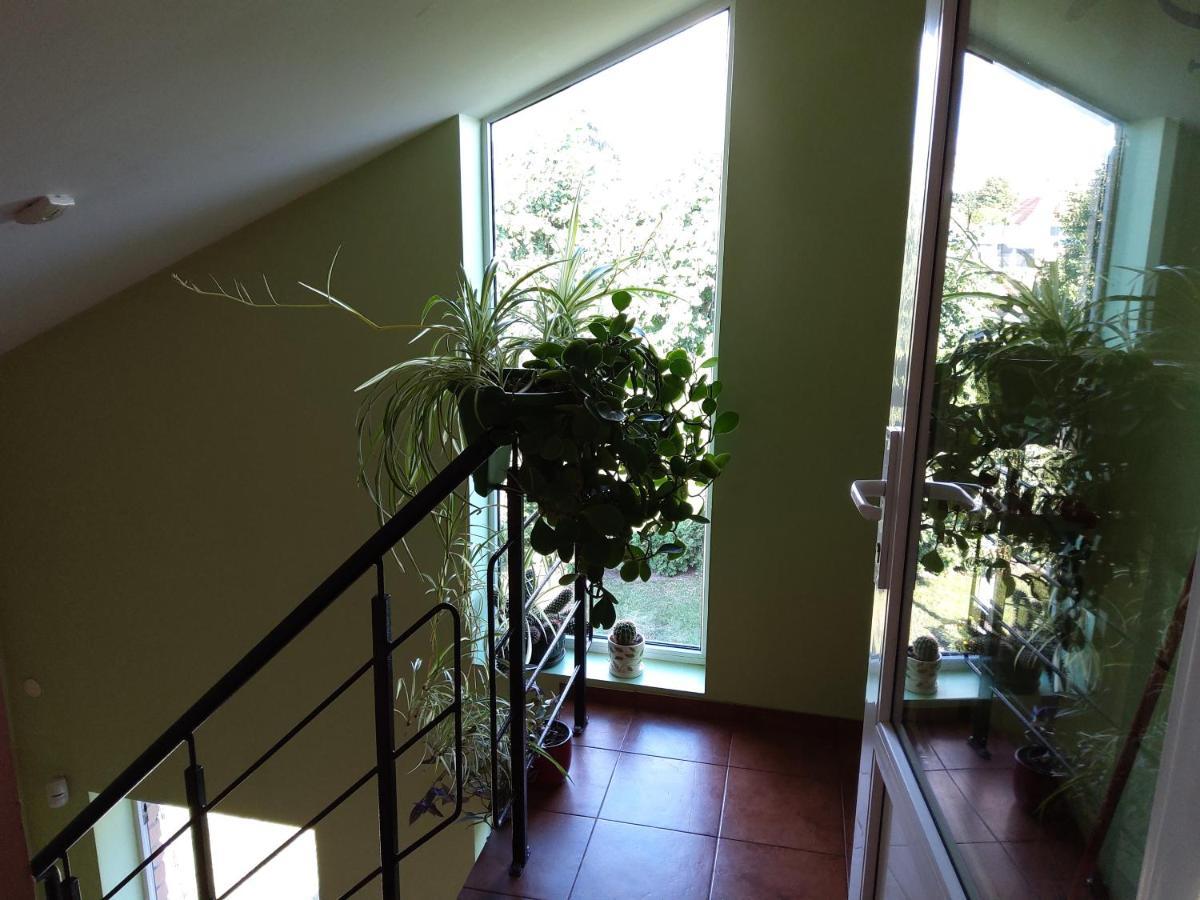 Apartamentai Geguciu Gatveje Klaipėda Eksteriør bilde